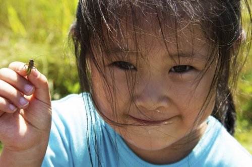 Be A Citizen Scientist!