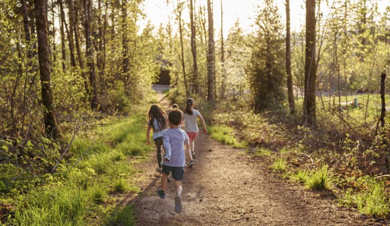 A group of four children running down a trail in the woods.