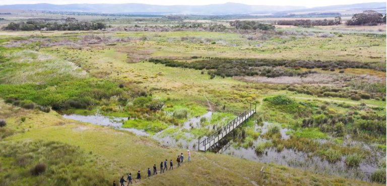 A groupd of students are about to cross a bridge across the Nuwejaars Wetlands in South Africa