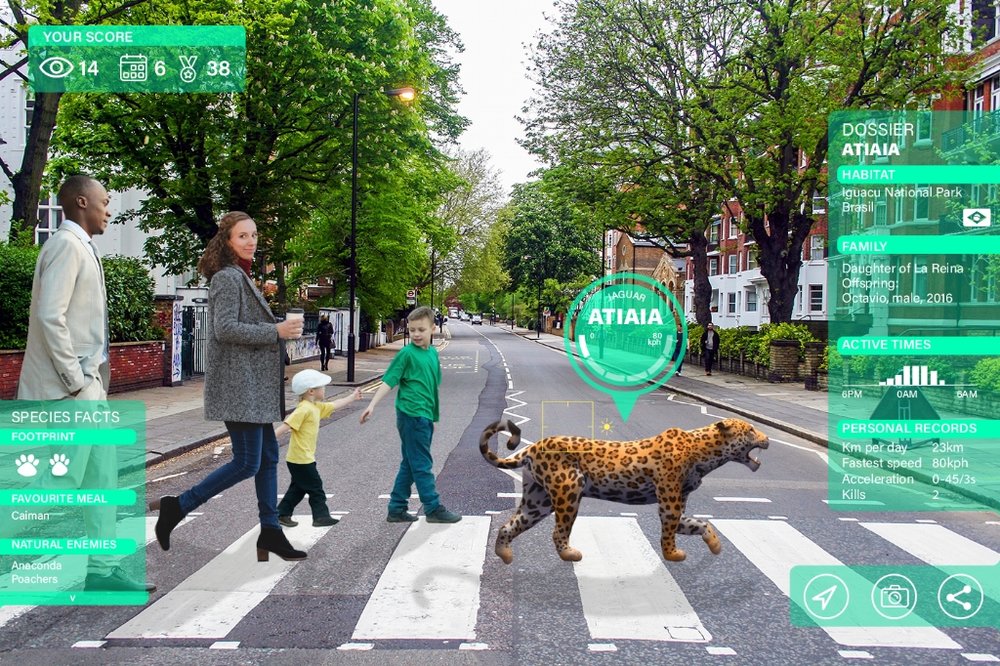 IOE_gamescreensimulation_jaguar.jpg