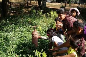 chennai-india-blog-conservation-optimism