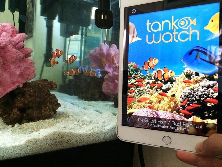 Tank Watch – For The Fishes (Global)