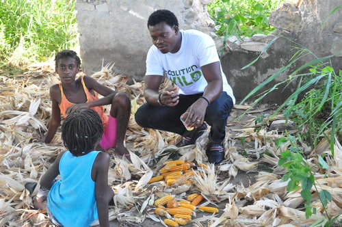 CoalitionWILD (Global)