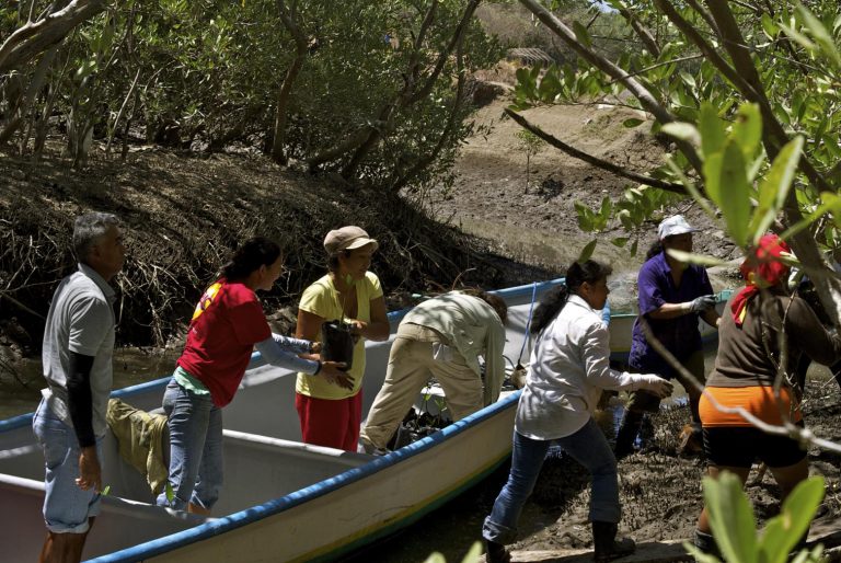 Securing Livelihoods through Mangrove Conservation and Restoration