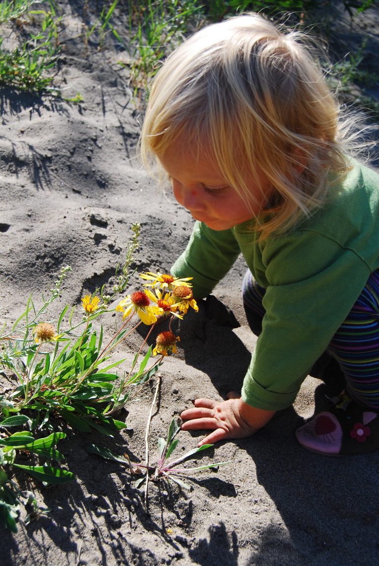 Global Health Asia Institute (Thailand)