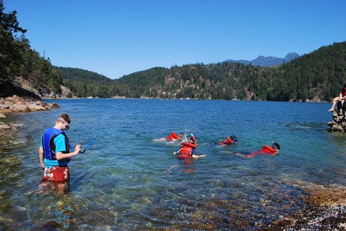 Camp Suzuki: Howe Sound – David Suzuki Foundation (Canada)