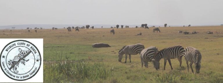 Wildlife Clubs of Kenya (Kenya)