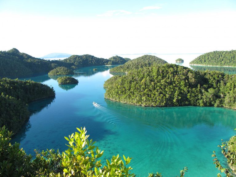 Community-based Conservation at Scale