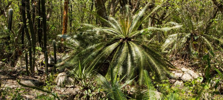 From ecosystems connectivity to social connectivity – strengthening sustainable communities for adaptation