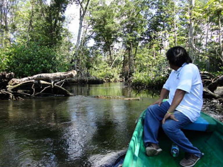 “Pesca Responsable”: responding to climate change through sustainable responsible fishing and mangrove rehabilitation