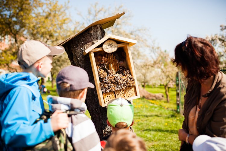 Learning About Forests – Tereza (Czech Republic)