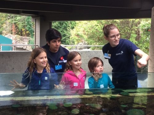 Ocean Wise at the Vancouver Aquarium (Canada)
