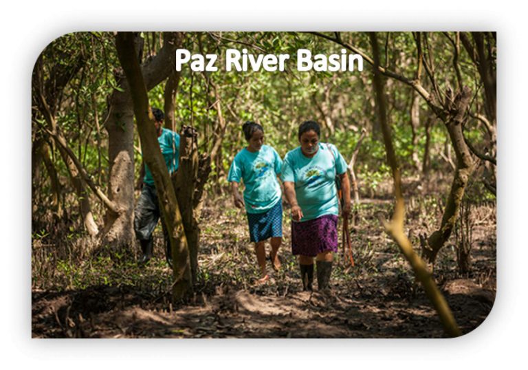 Strengthening community leadership for mangrove restoration and food security of the Paz River, El Salvador