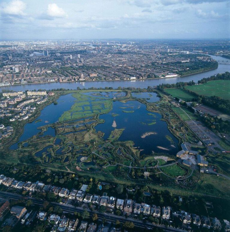 An urban wetland for wildlife and people through private-public partnership