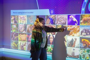 A woman points to an interactive screen filled with images, being asked to remvoe anything that isn't an animal.