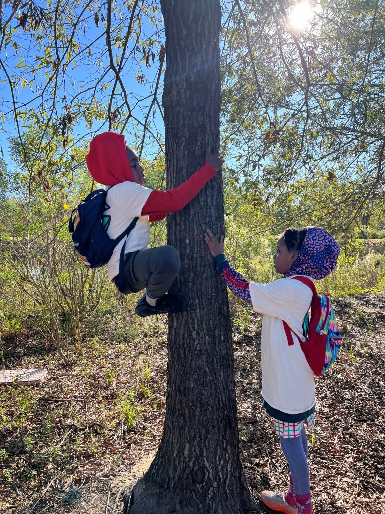Two young kids attempt to climb a tree while out walking on a forest trail on a clear, sunny day.