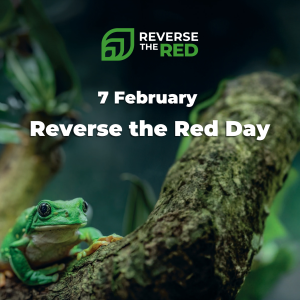 Image of a frog on a tree promoting the Feb. 7 Reverse The Red Day.